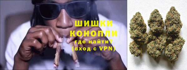 тгк Бронницы