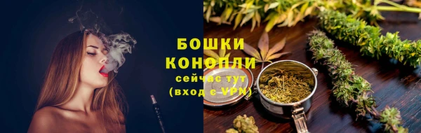 тгк Бронницы