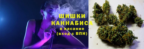 тгк Бронницы