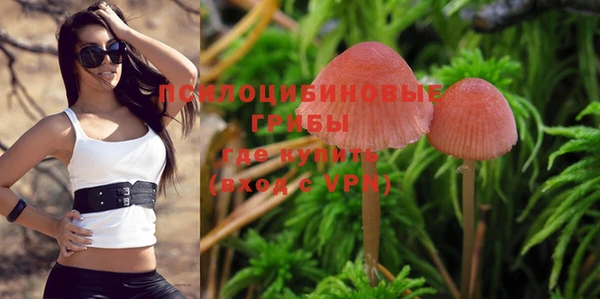 тгк Бронницы