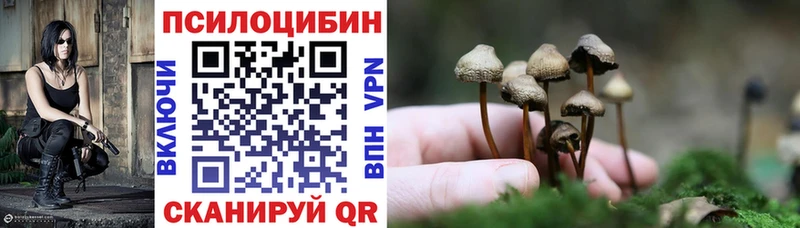 Галлюциногенные грибы ЛСД  Купить закладки  Макушино 